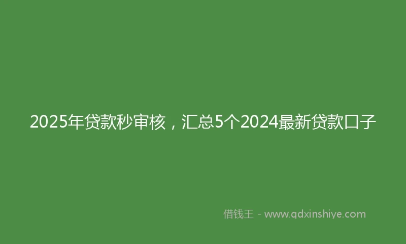 2025年贷款秒审核，汇总5个2024最新贷款口子