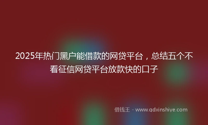 2025年热门黑户能借款的网贷平台，总结五个不看征信网贷平台放款快的口子