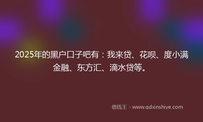 2025年的黑户口子吧有：我来贷、花呗、度小满金融、东方汇、滴水贷等。