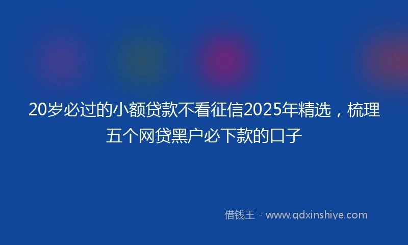 20岁必过的小额贷款不看征信2025年精选，梳理五个网贷黑户必下款的口子