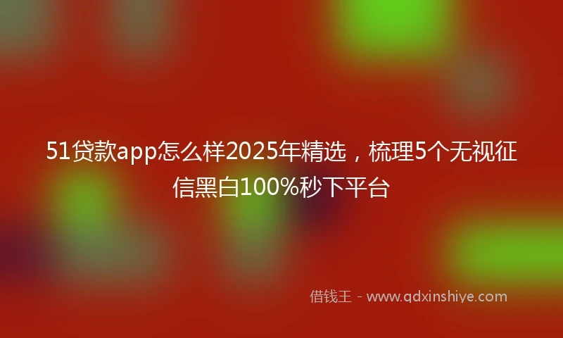 51贷款app怎么样2025年精选，梳理5个无视征信黑白100%秒下平台