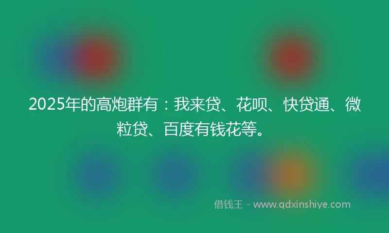 2025年的高炮群有：我来贷、花呗、快贷通、微粒贷、百度有钱花等。