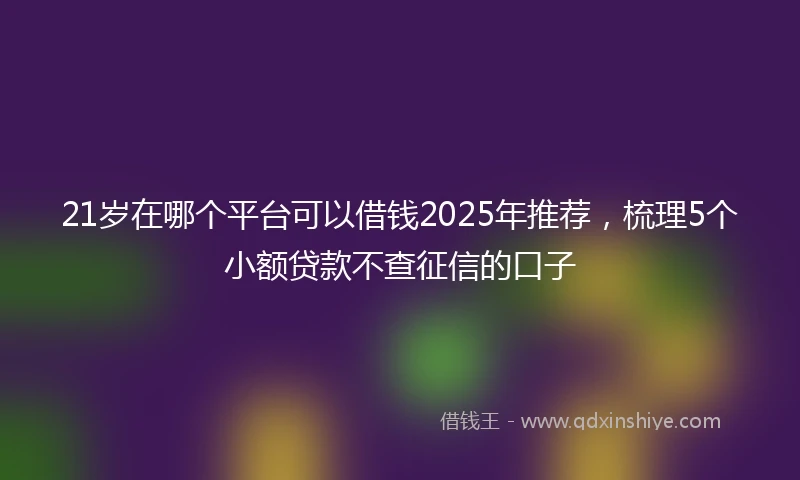 21岁在哪个平台可以借钱2025年推荐，梳理5个小额贷款不查征信的口子