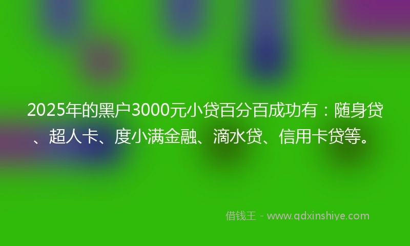 2025年的黑户3000元小贷百分百成功有：随身贷、超人卡、度小满金融、滴水贷、信用卡贷等。