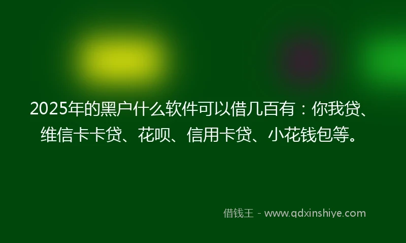 2025年的黑户什么软件可以借几百有：你我贷、维信卡卡贷、花呗、信用卡贷、小花钱包等。