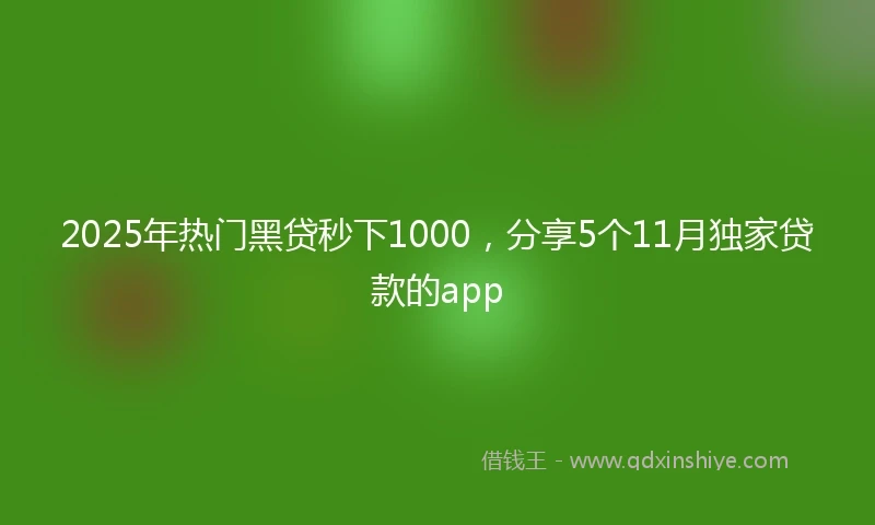 2025年热门黑贷秒下1000，分享5个11月独家贷款的app