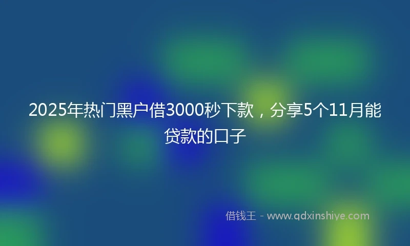 2025年热门黑户借3000秒下款，分享5个11月能贷款的口子