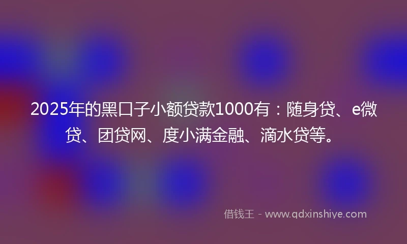 2025年的黑口子小额贷款1000有：随身贷、e微贷、团贷网、度小满金融、滴水贷等。