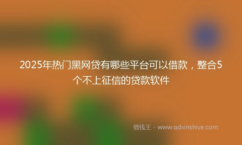 2025年热门黑网贷有哪些平台可以借款，整合5个不上征信的贷款软件