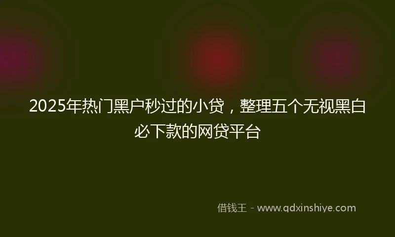 2025年热门黑户秒过的小贷，整理五个无视黑白必下款的网贷平台