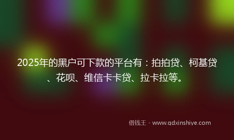 2025年的黑户可下款的平台有：拍拍贷、柯基贷、花呗、维信卡卡贷、拉卡拉等。