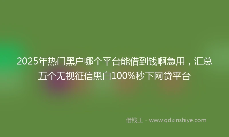 2025年热门黑户哪个平台能借到钱啊急用，汇总五个无视征信黑白100%秒下网贷平台