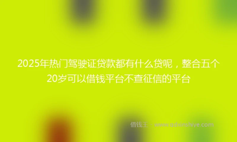2025年热门驾驶证贷款都有什么贷呢,整合五个20岁可以借钱平台不查征信的平台