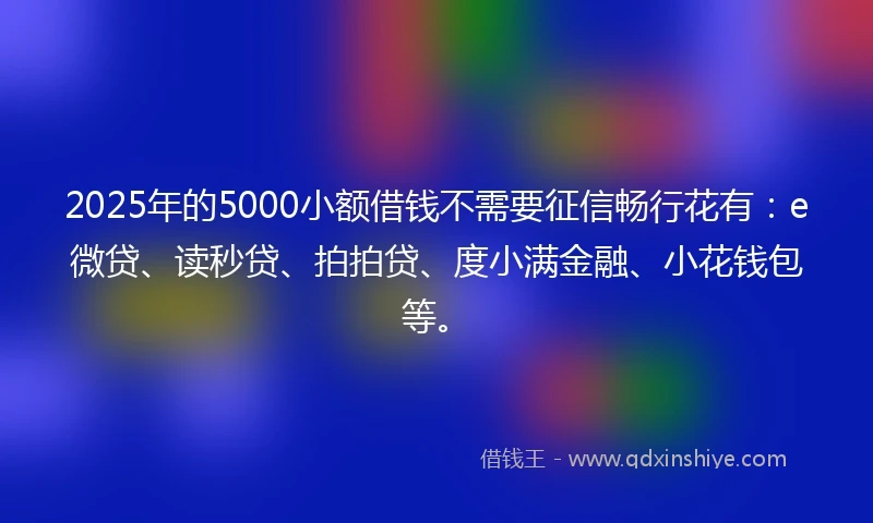 2025年的5000小额借钱不需要征信畅行花有：e微贷、读秒贷、拍拍贷、度小满金融、小花钱包等。