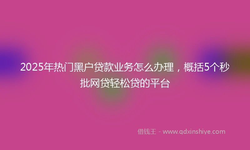 2025年热门黑户贷款业务怎么办理，概括5个秒批网贷轻松贷的平台