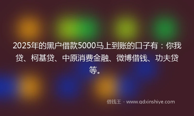 2025年的黑户借款5000马上到账的口子有：你我贷、柯基贷、中原消费金融、微博借钱、功夫贷等。
