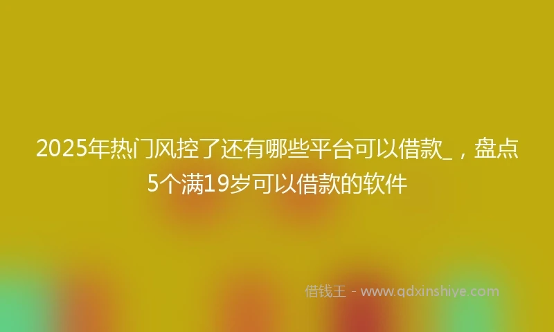 2025年热门风控了还有哪些平台可以借款_，盘点5个满19岁可以借款的软件