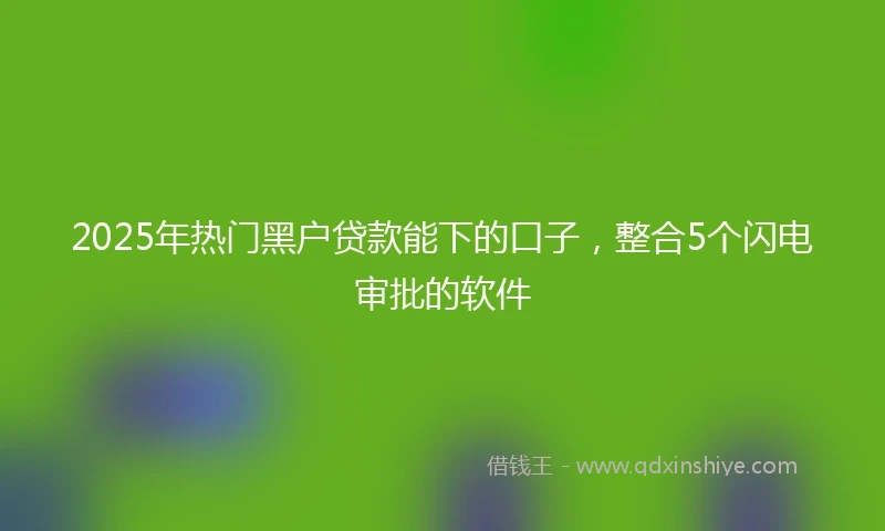 2025年热门黑户贷款能下的口子，整合5个闪电审批的软件