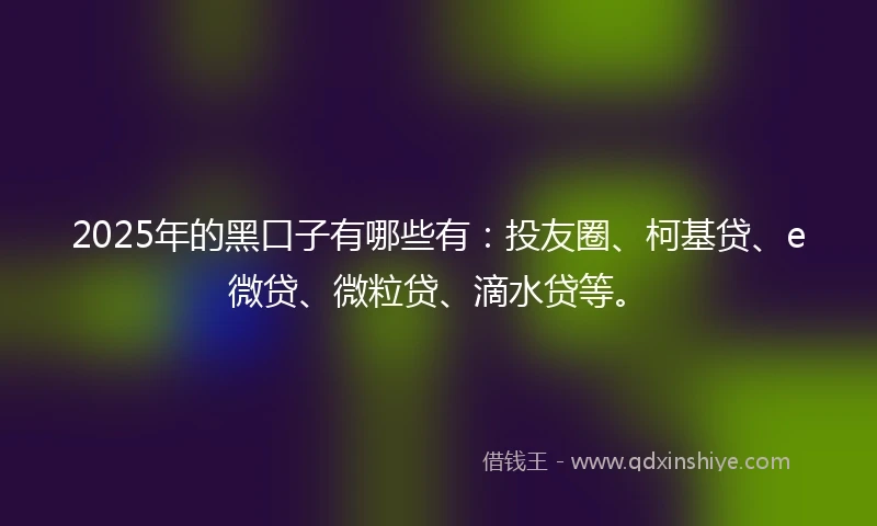 2025年的黑口子有哪些有：投友圈、柯基贷、e微贷、微粒贷、滴水贷等。