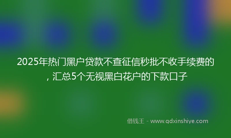 2025年热门黑户贷款不查征信秒批不收手续费的，汇总5个无视黑白花户的下款口子