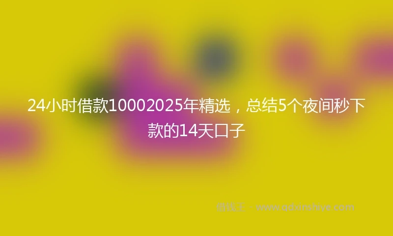 24小时借款10002025年精选，总结5个夜间秒下款的14天口子