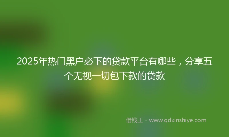 2025年热门黑户必下的贷款平台有哪些，分享五个无视一切包下款的贷款