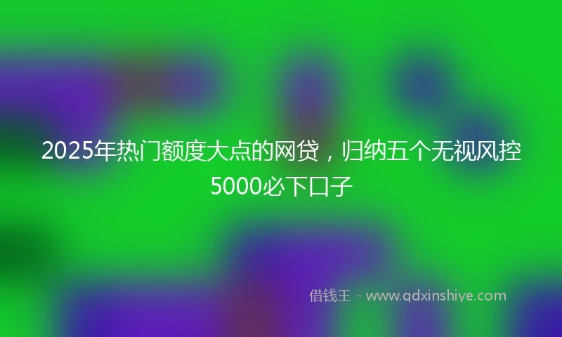 2025年热门额度大点的网贷，归纳五个无视风控5000必下口子