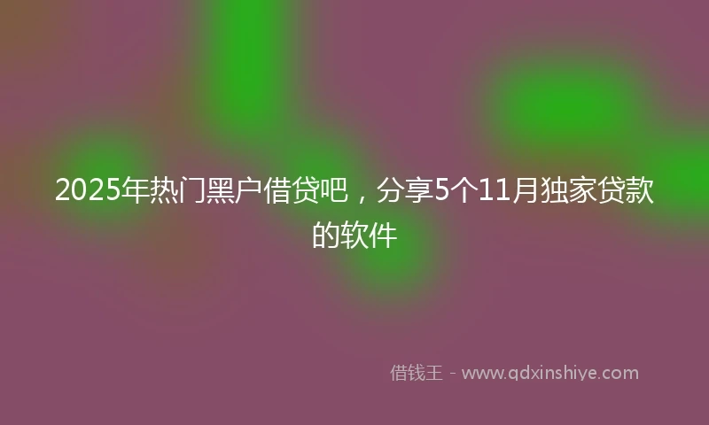 2025年热门黑户借贷吧，分享5个11月独家贷款的软件