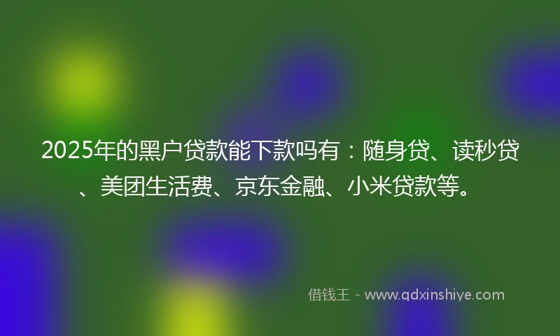 2025年的黑户贷款能下款吗有：随身贷、读秒贷、美团生活费、京东金融、小米贷款等。