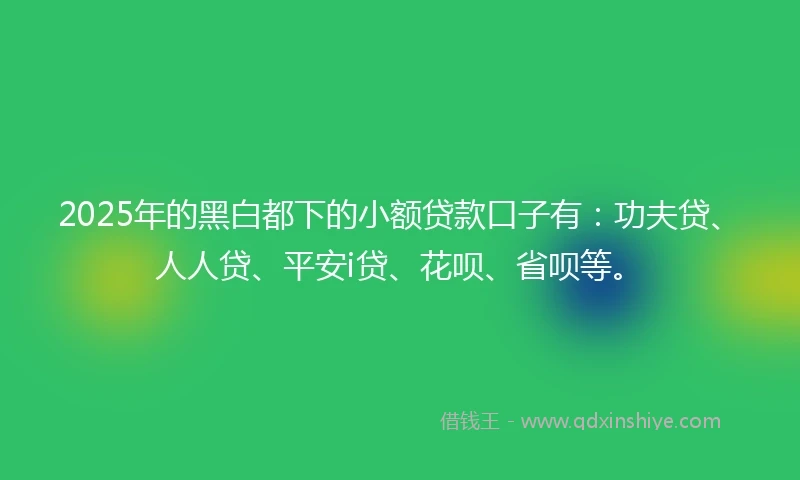 2025年的黑白都下的小额贷款口子有：功夫贷、人人贷、平安i贷、花呗、省呗等。