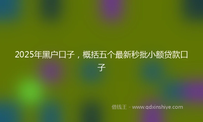 2025年黑户口子，概括五个最新秒批小额贷款口子
