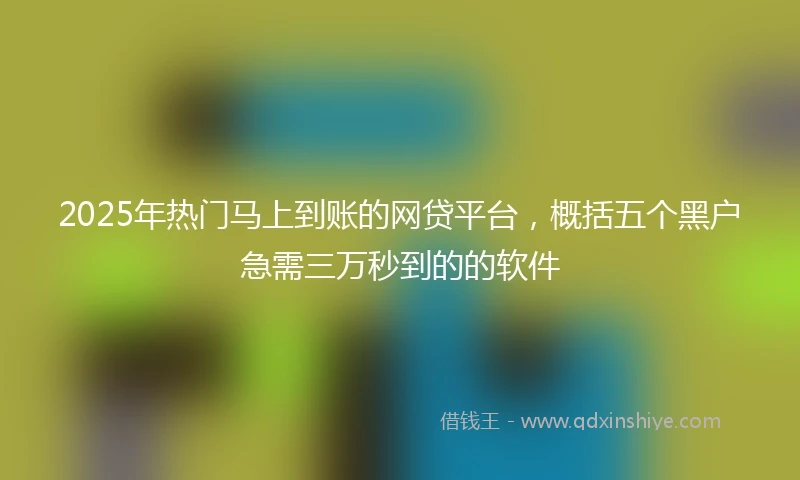 2025年热门马上到账的网贷平台，概括五个黑户急需三万秒到的的软件
