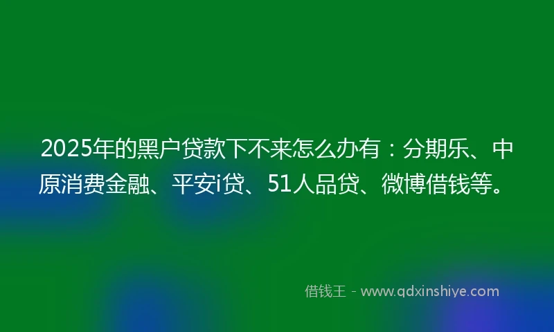 2025年的黑户贷款下不来怎么办有：分期乐、中原消费金融、平安i贷、51人品贷、微博借钱等。