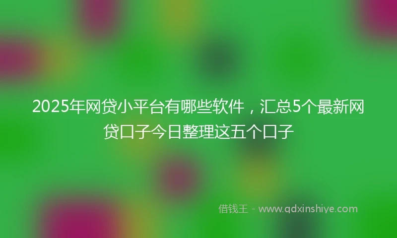 2025年网贷小平台有哪些软件，汇总5个最新网贷口子今日整理这五个口子