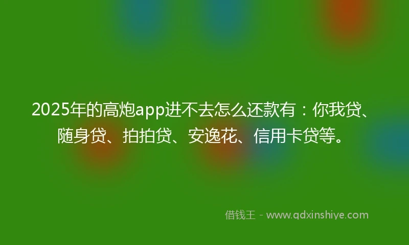 2025年的高炮app进不去怎么还款有：你我贷、随身贷、拍拍贷、安逸花、信用卡贷等。
