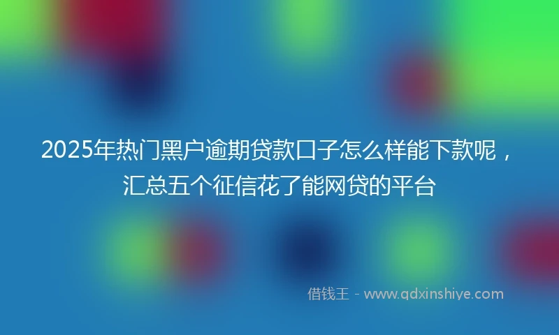 2025年热门黑户逾期贷款口子怎么样能下款呢，汇总五个征信花了能网贷的平台