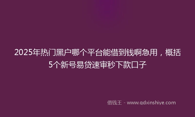 2025年热门黑户哪个平台能借到钱啊急用，概括5个新号易贷速审秒下款口子