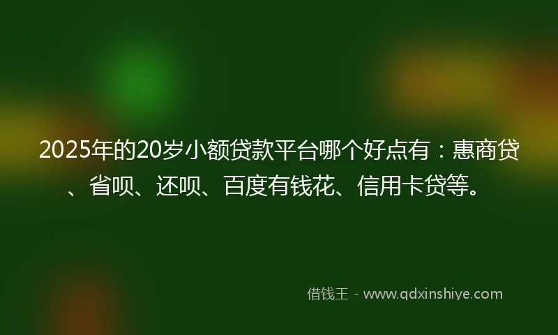 2025年的20岁小额贷款平台哪个好点有：惠商贷、省呗、还呗、百度有钱花、信用卡贷等。