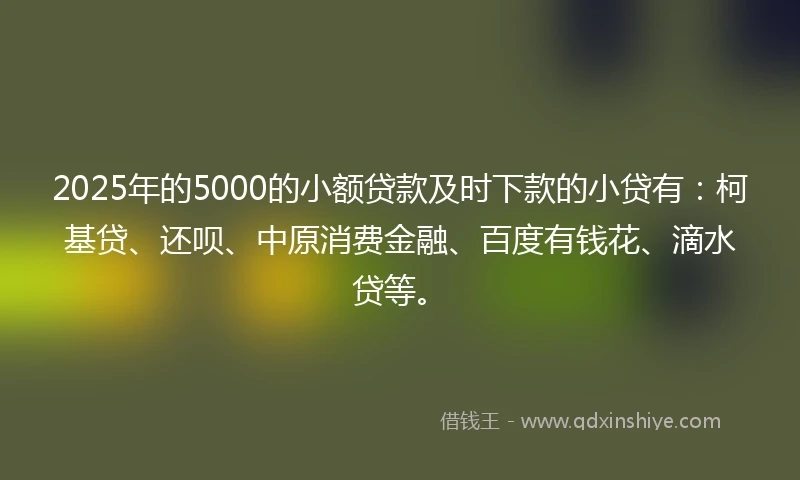 2025年的5000的小额贷款及时下款的小贷有：柯基贷、还呗、中原消费金融、百度有钱花、滴水贷等。