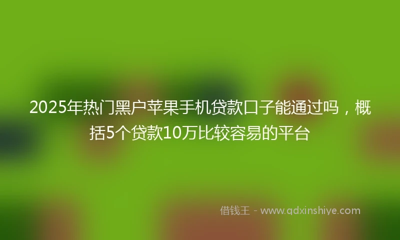 2025年热门黑户苹果手机贷款口子能通过吗，概括5个贷款10万比较容易的平台