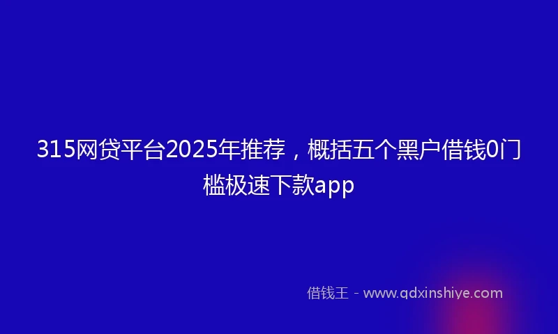 315网贷平台2025年推荐，概括五个黑户借钱0门槛极速下款app