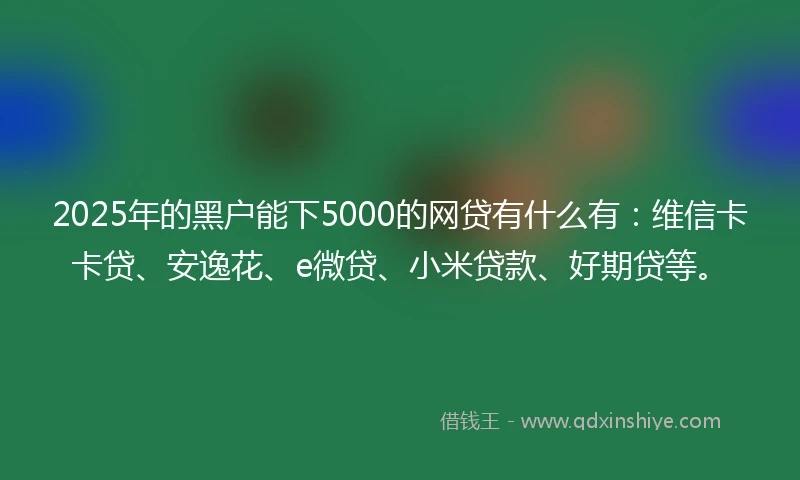 2025年的黑户能下5000的网贷有什么有：维信卡卡贷、安逸花、e微贷、小米贷款、好期贷等。