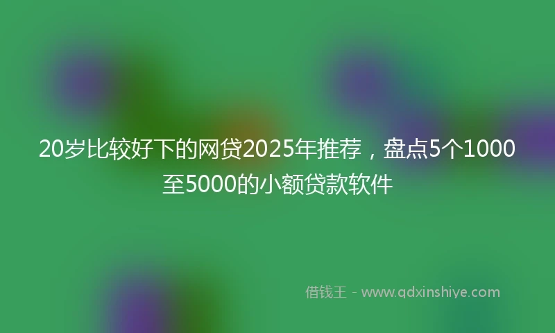 20岁比较好下的网贷2025年推荐，盘点5个1000至5000的小额贷款软件