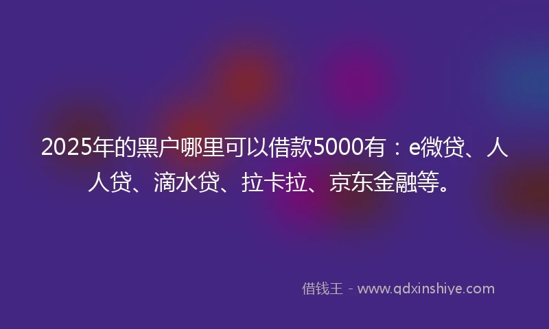 2025年的黑户哪里可以借款5000有：e微贷、人人贷、滴水贷、拉卡拉、京东金融等。
