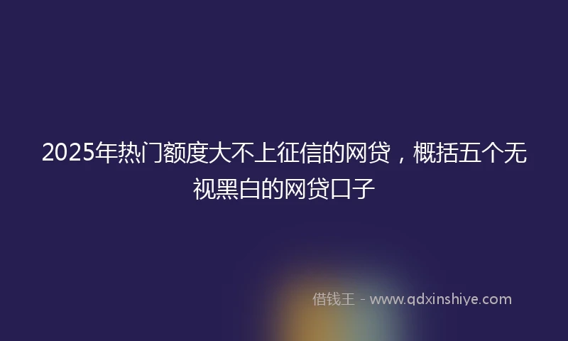 2025年热门额度大不上征信的网贷，概括五个无视黑白的网贷口子
