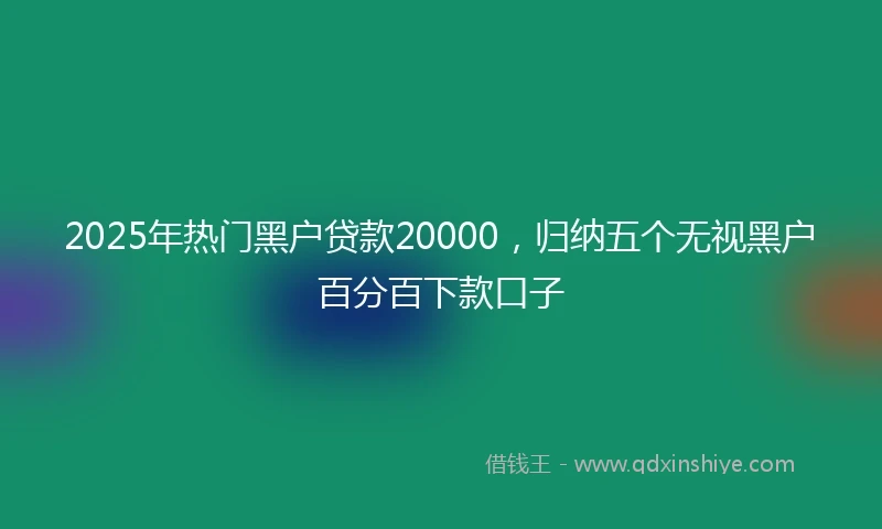 2025年热门黑户贷款20000，归纳五个无视黑户百分百下款口子