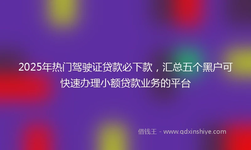 2025年热门驾驶证贷款必下款，汇总五个黑户可快速办理小额贷款业务的平台