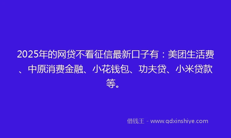 2025年的网贷不看征信最新口子有：美团生活费、中原消费金融、小花钱包、功夫贷、小米贷款等。