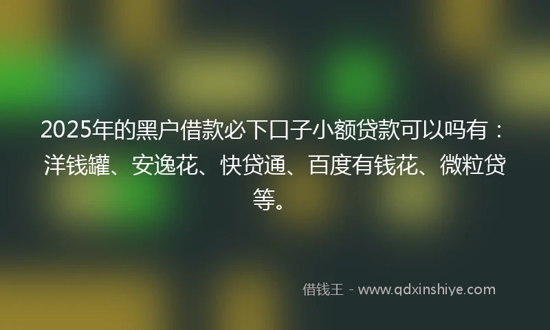 2025年的黑户借款必下口子小额贷款可以吗有：洋钱罐、安逸花、快贷通、百度有钱花、微粒贷等。