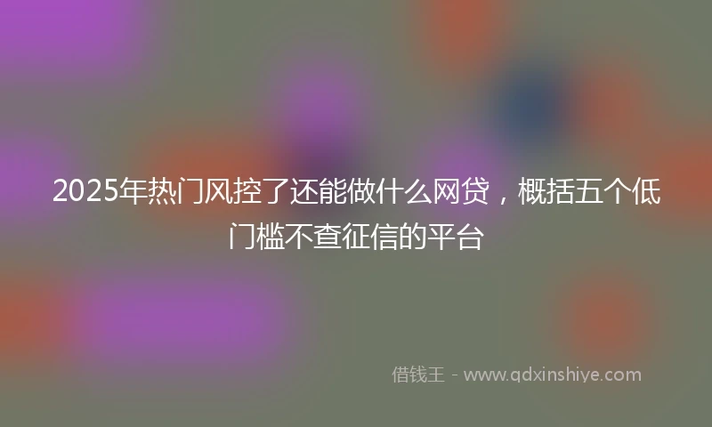 2025年热门风控了还能做什么网贷，概括五个低门槛不查征信的平台
